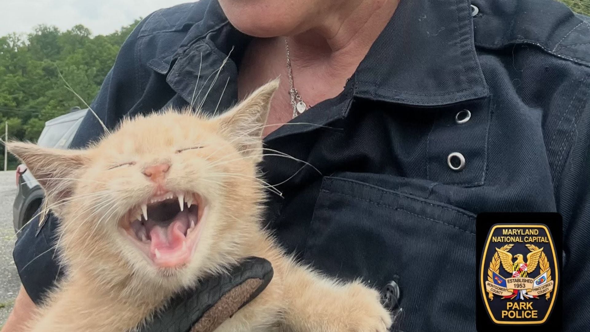 Maryland-National Capital Park Police rescue scared cat left stranded on bridge