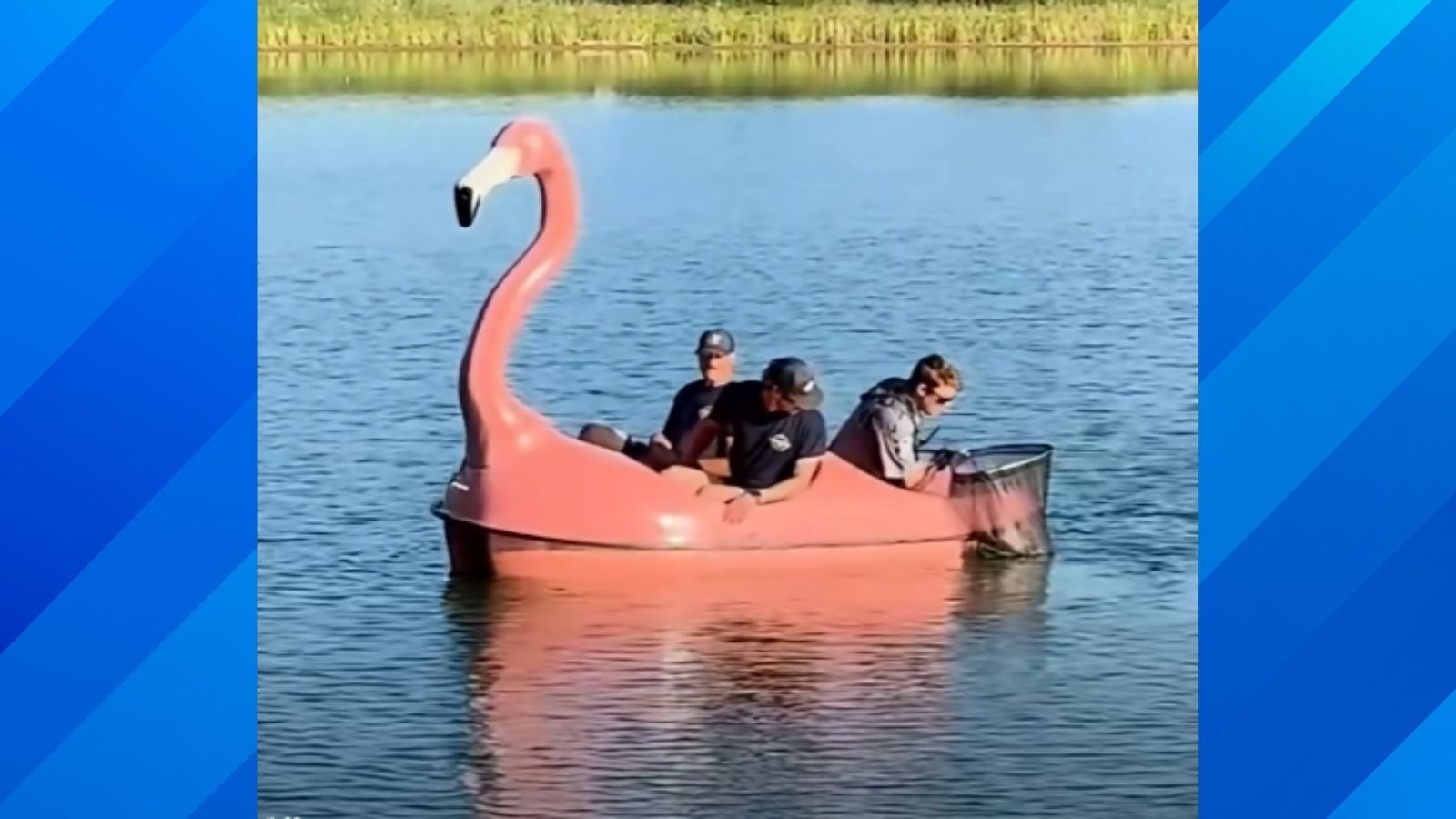 Colorado First Responders Rescue Snapping Turtle Using the Most Unexpected Boat Imaginable