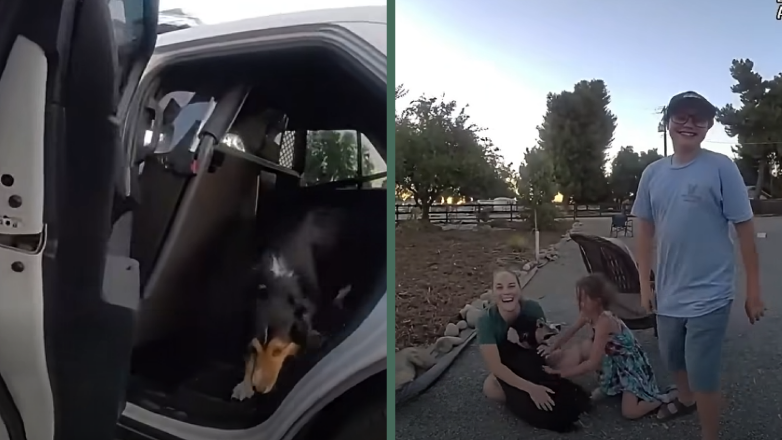 Deputies Found the Missing Pup in Less Than 24 Hours
