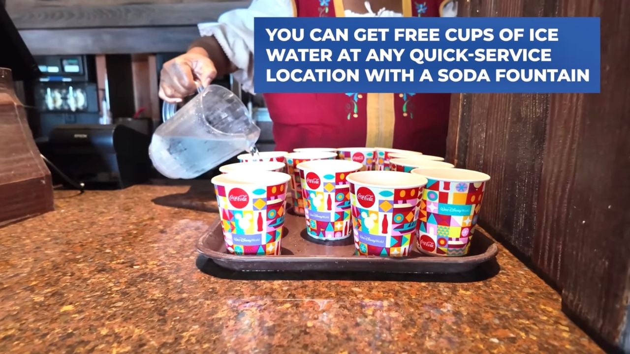 Disneyland Free Water