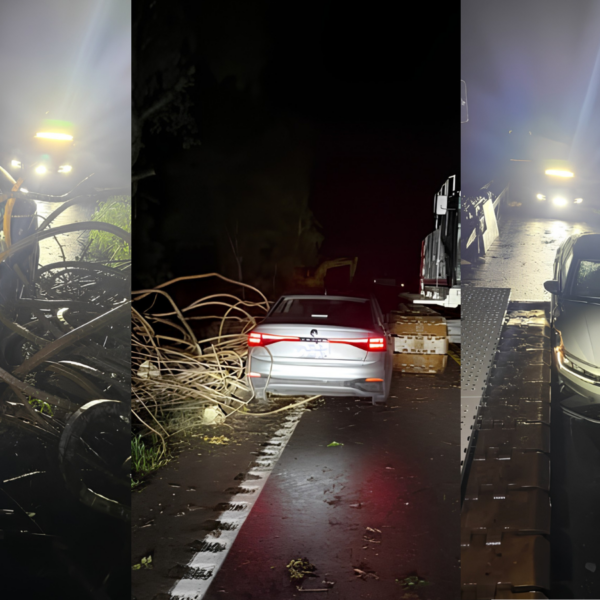 Driver Ignores Road Closure Signs, Ends Up Wedged Between Excavator and Rebar Just 30 Feet From Missing Bridge