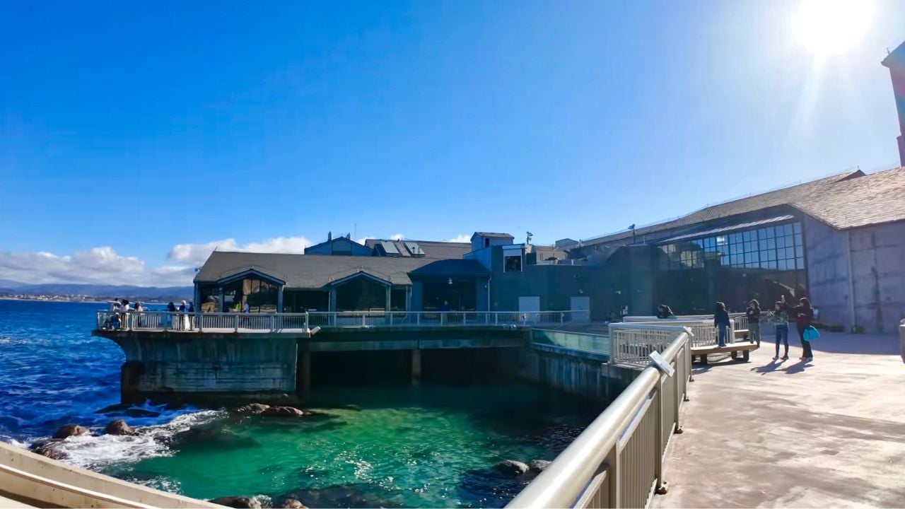 Monterey Bay Aquarium