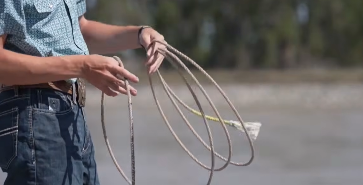 lasso rescue
