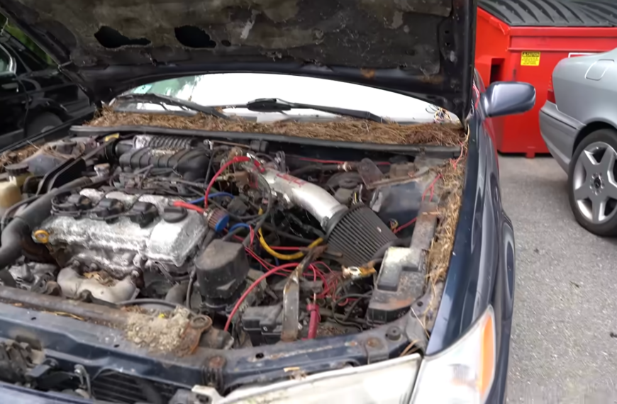 Rare Supercharged Toyota Camry TRD Rescued From Junkyard After Sitting Abandoned For Nearly 20 Years