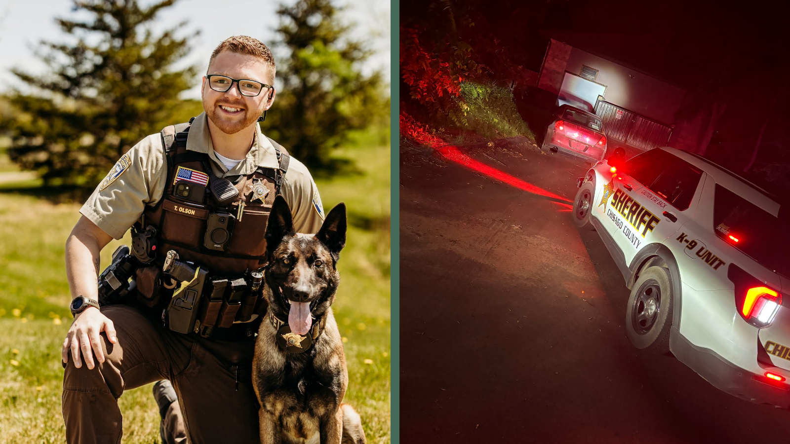 Suspect Gives Up on the Run, But K9 Judge Still Finds One More Surprise