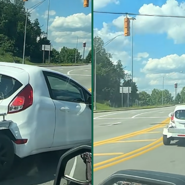 This Ford Focus Is Tiny, Weird, and Somehow Extremely Cool