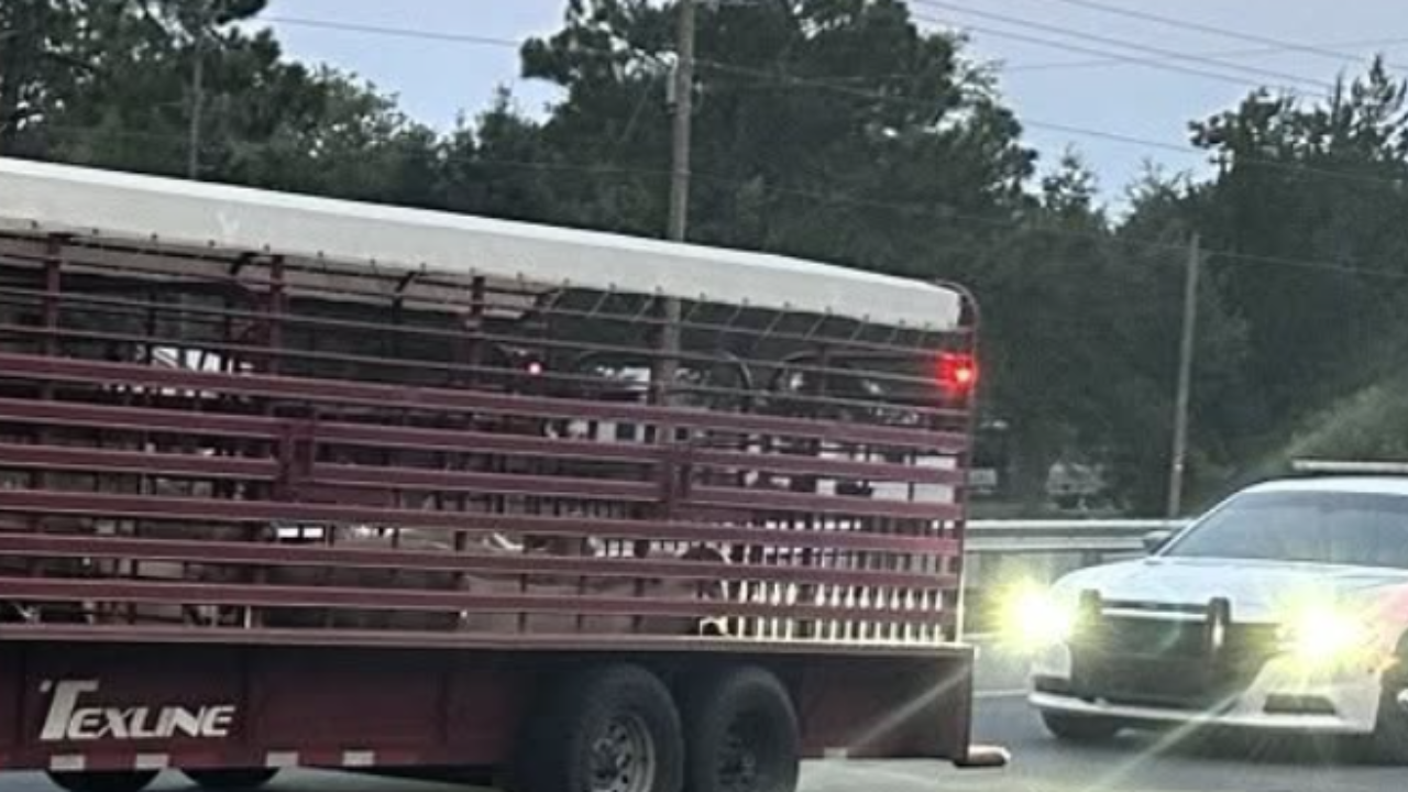 agriculture parasite