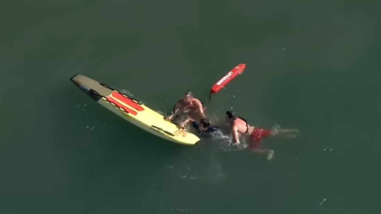 lifeguards catch felon in ocean