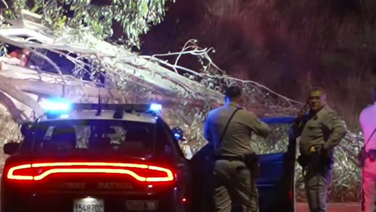 cybertruck crash DUI