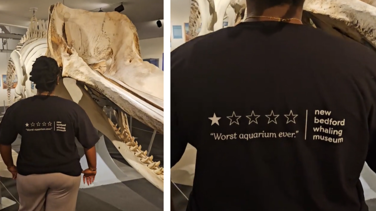 Museum Goes Viral to Response to Bad Review