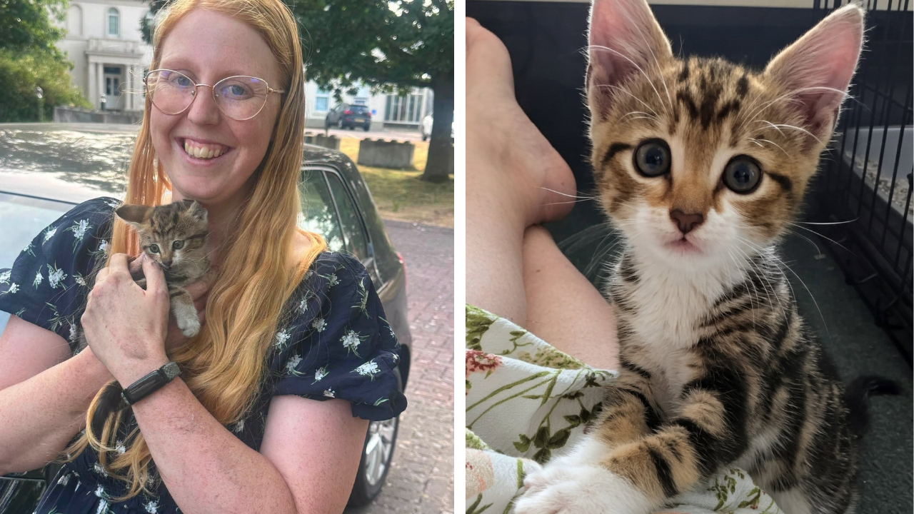 Fire Service Rescues Kitten