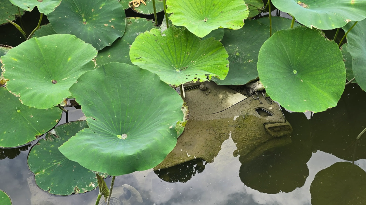 Couple Finds Car in Pond