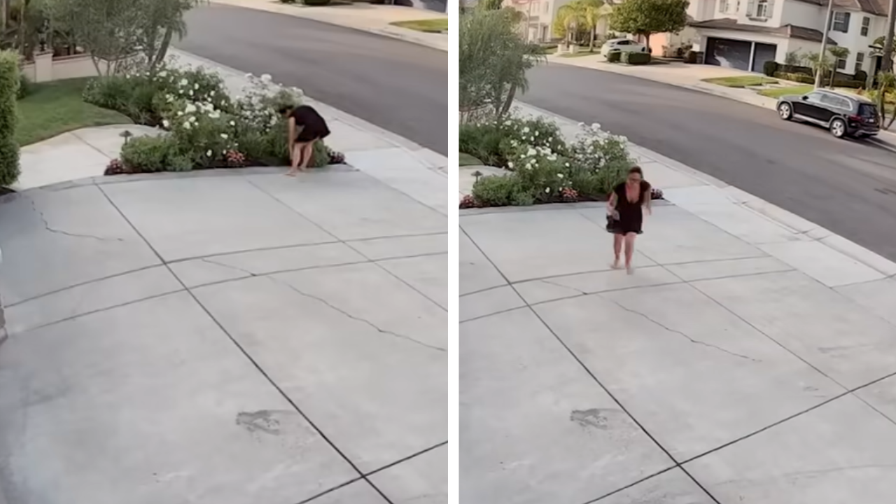 Woman Bit By Rattlesnake