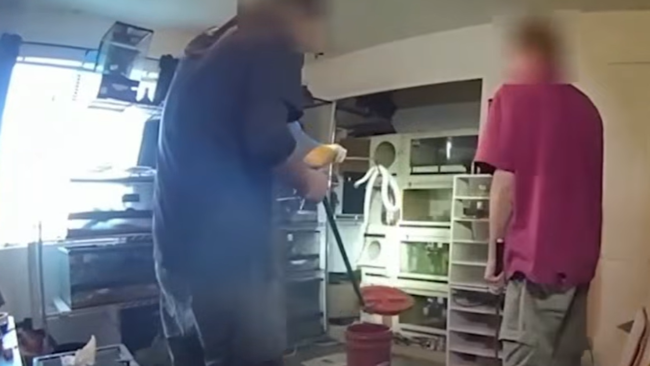 Snakes Seized in Drug Raid