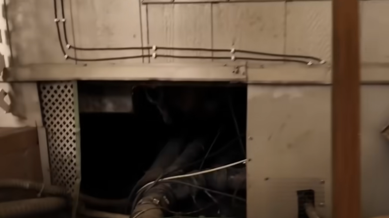 coyote under house terrorize couple