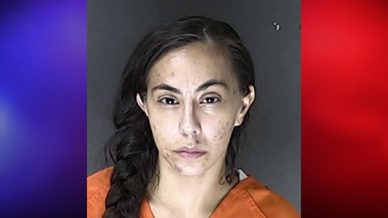woman rams cop car