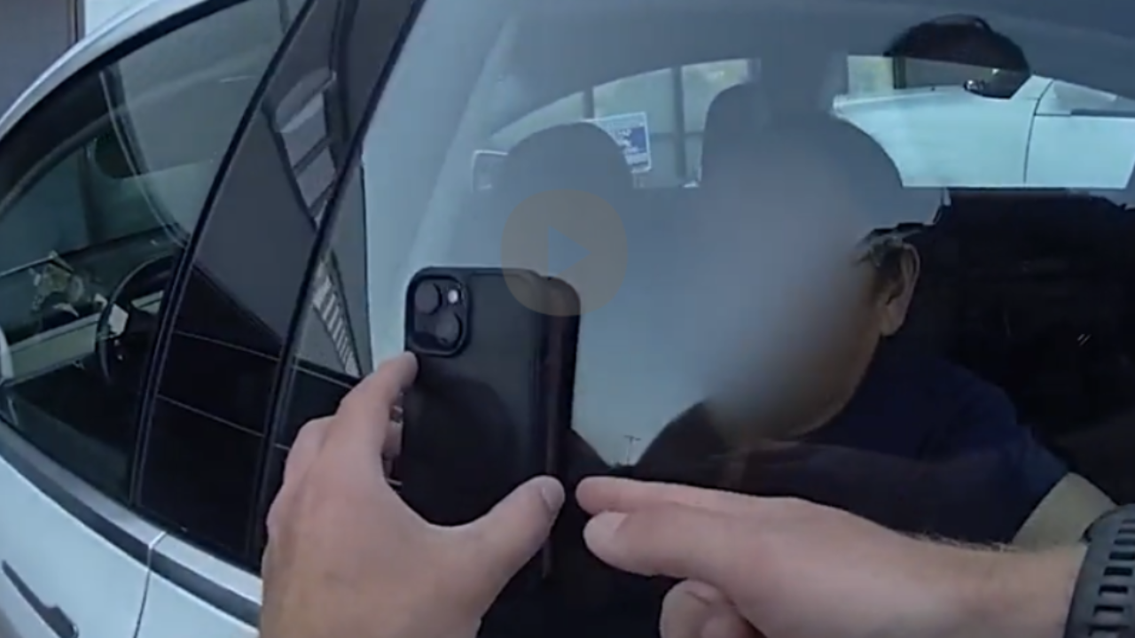 elderly woman trapped in tesla