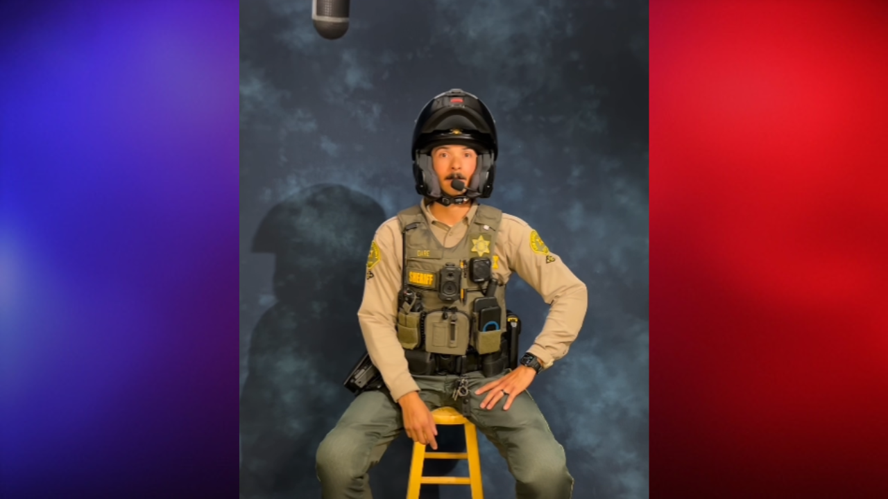 cops mock citation excuses