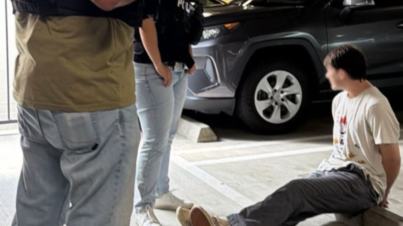 tesla vandalizer caught and arrested
