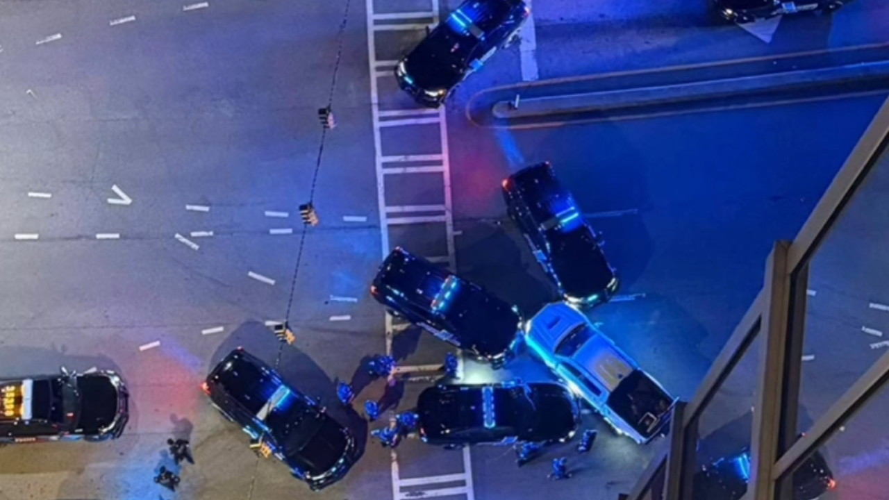 car chase over license