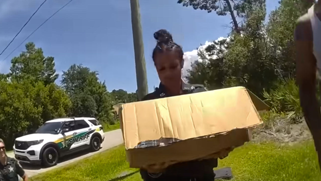 police rescue box of puppies