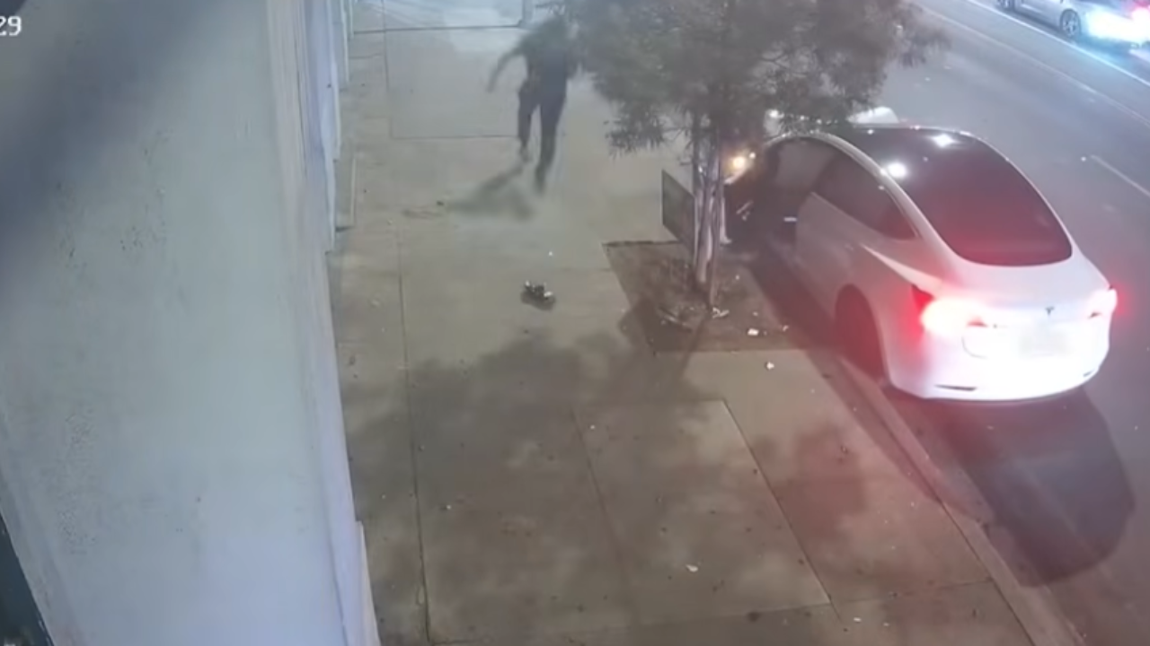 tesla crash LAPD chase