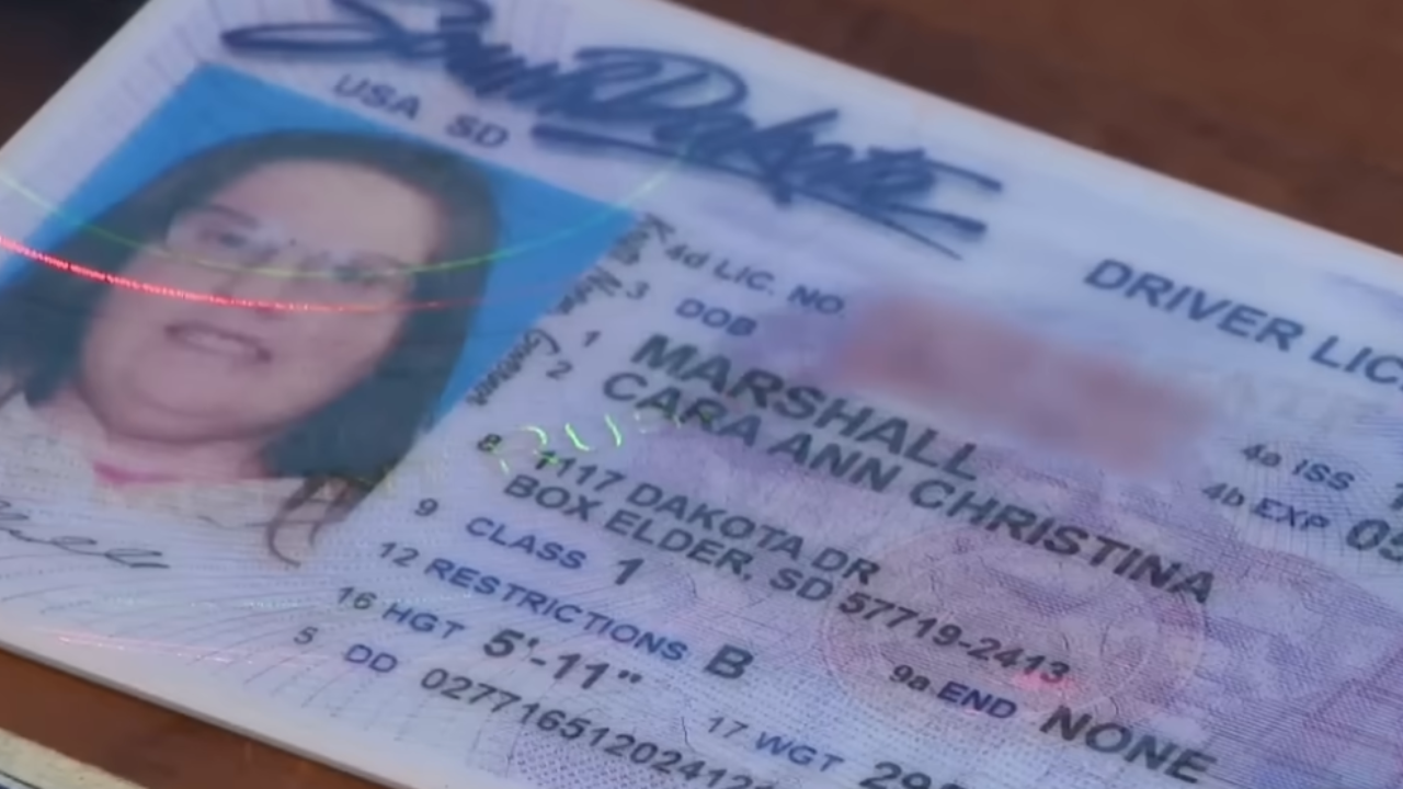 florida woman license issue with DMV