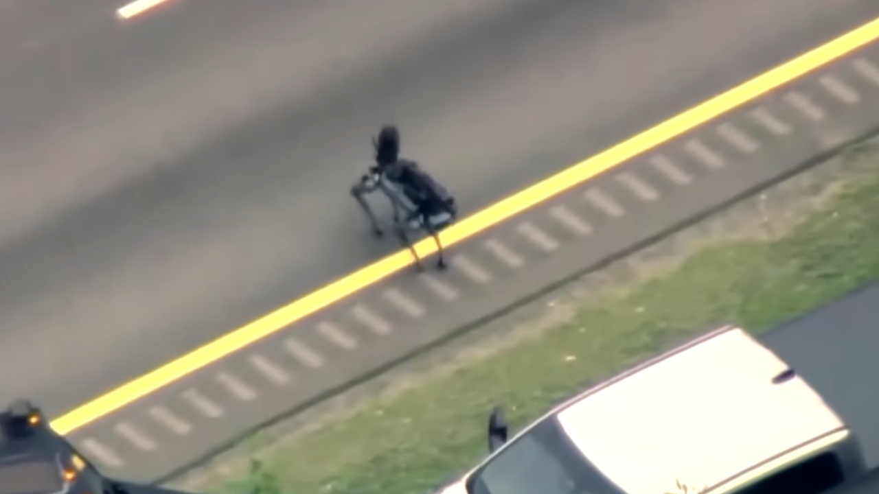 robot dog used in police stand off