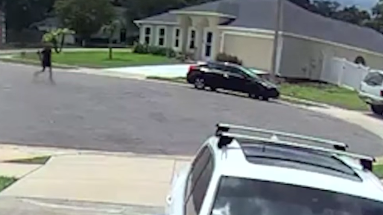 navy veteran saves kid and pets from fire