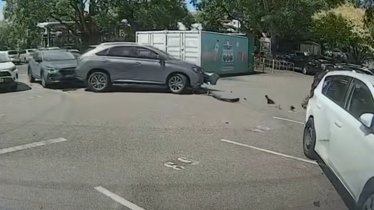 woman drives crazy while drunk