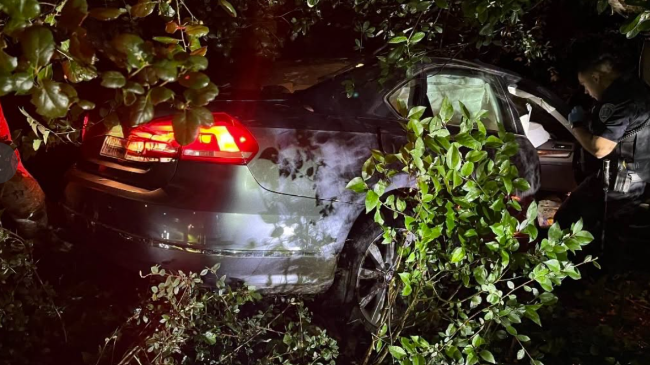 car crash DUI into bush