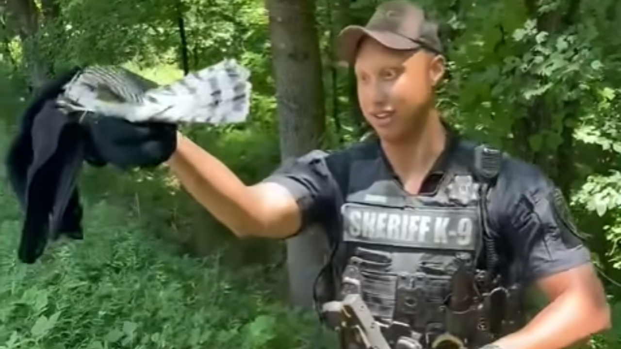 baby hawk rescue