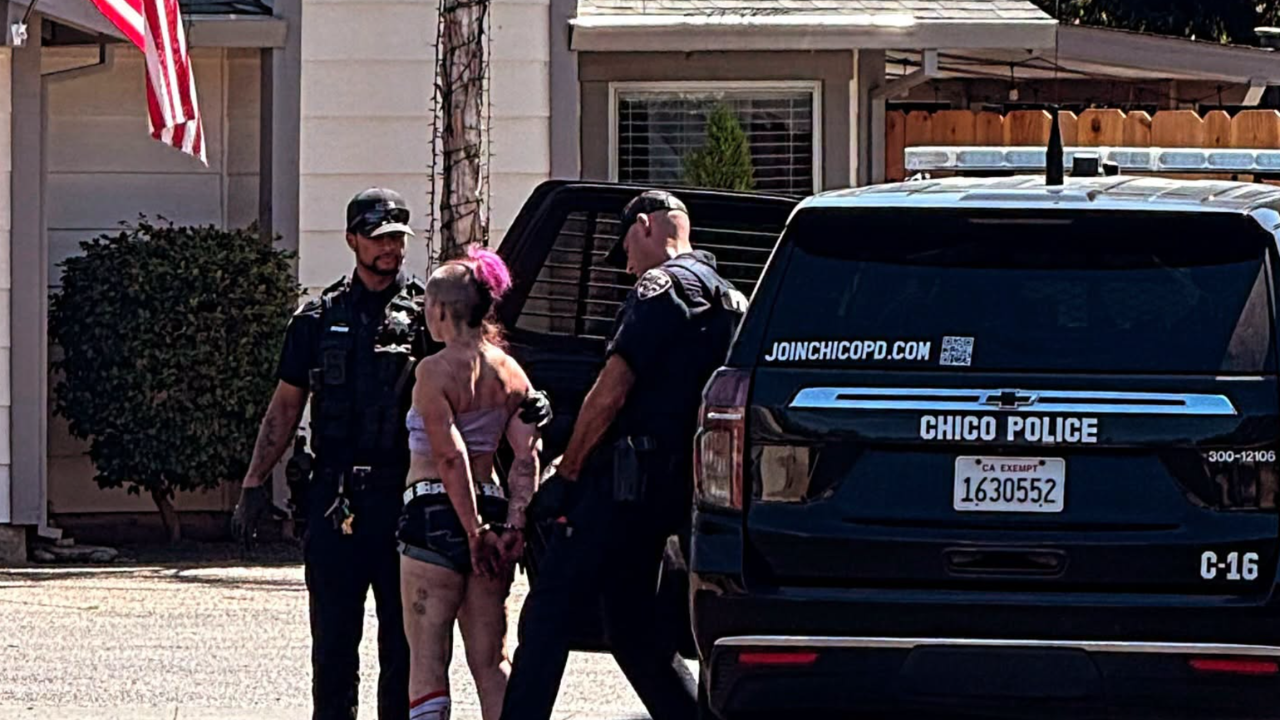 woman runs into cop yard and arrested