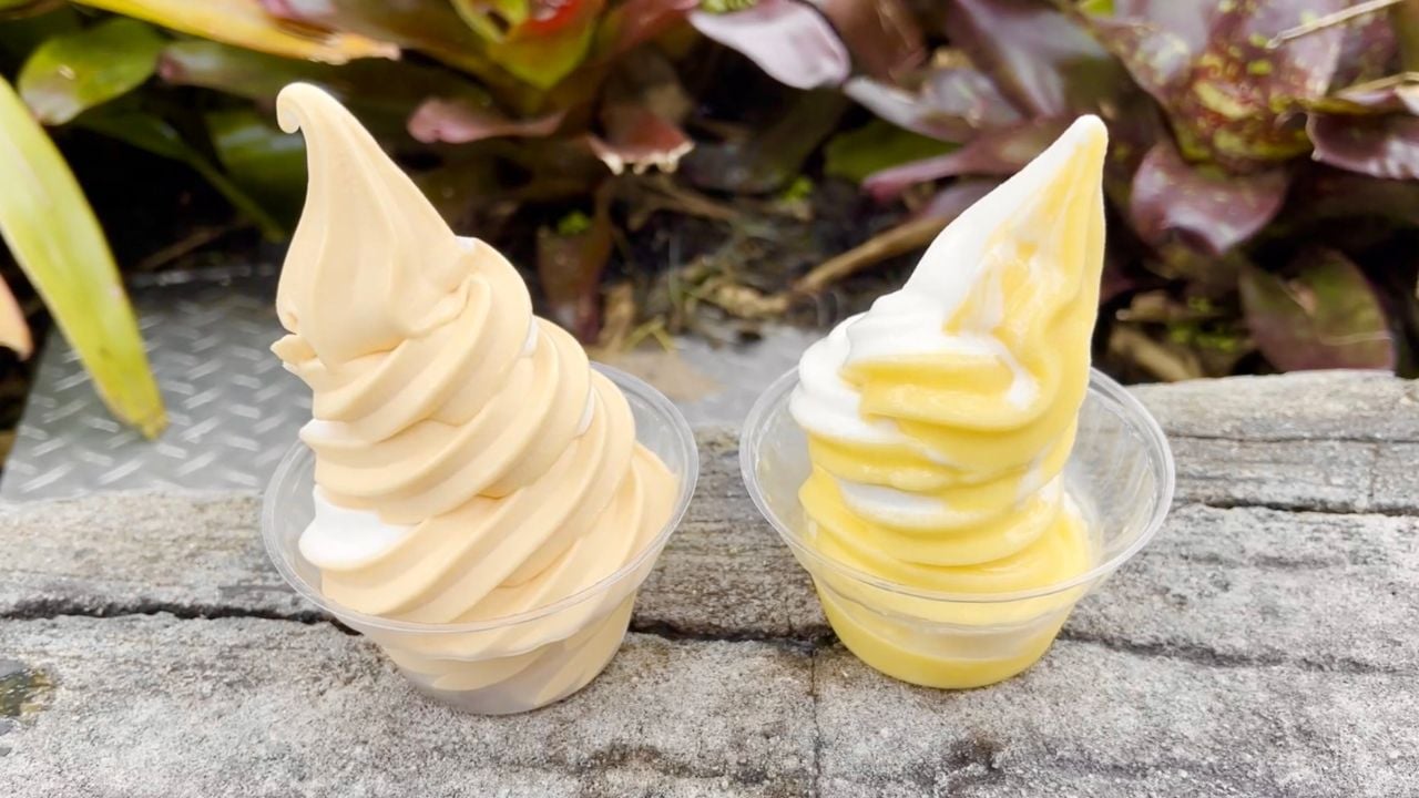 WDW Dole Whip