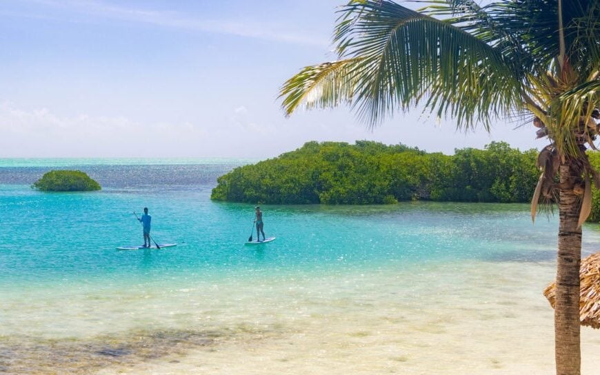 two people paddleboard on the water
