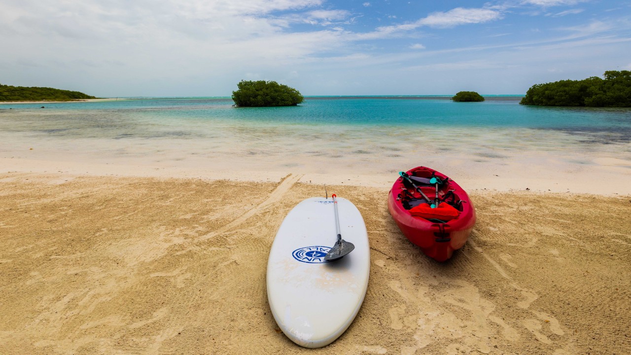 belize yahoo 861A0053 Custom