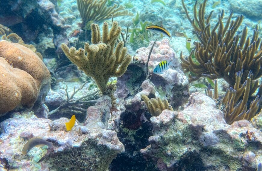 How to plan a 9-day trip to Belize