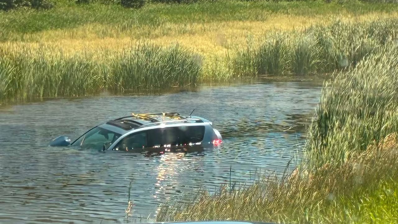 Good Samaritan Saves Senior and Her Dog From Sinking SUV