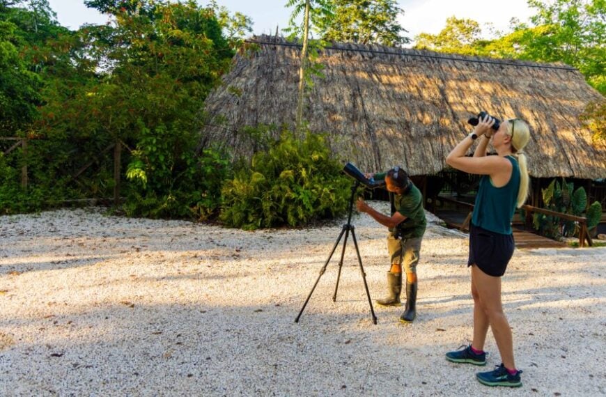 two people bird watching in belize