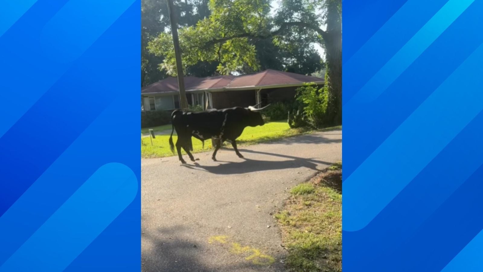 Alabama Deputies Trade Traffic Stops for Rodeo Duty to Wrangle 1,500-Pound Bull