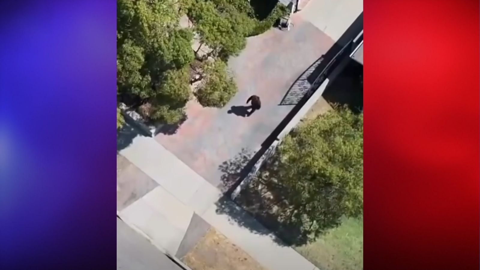 California Kidnapping Suspect Flees Into Backyard After Police Drone Tracks Him Down