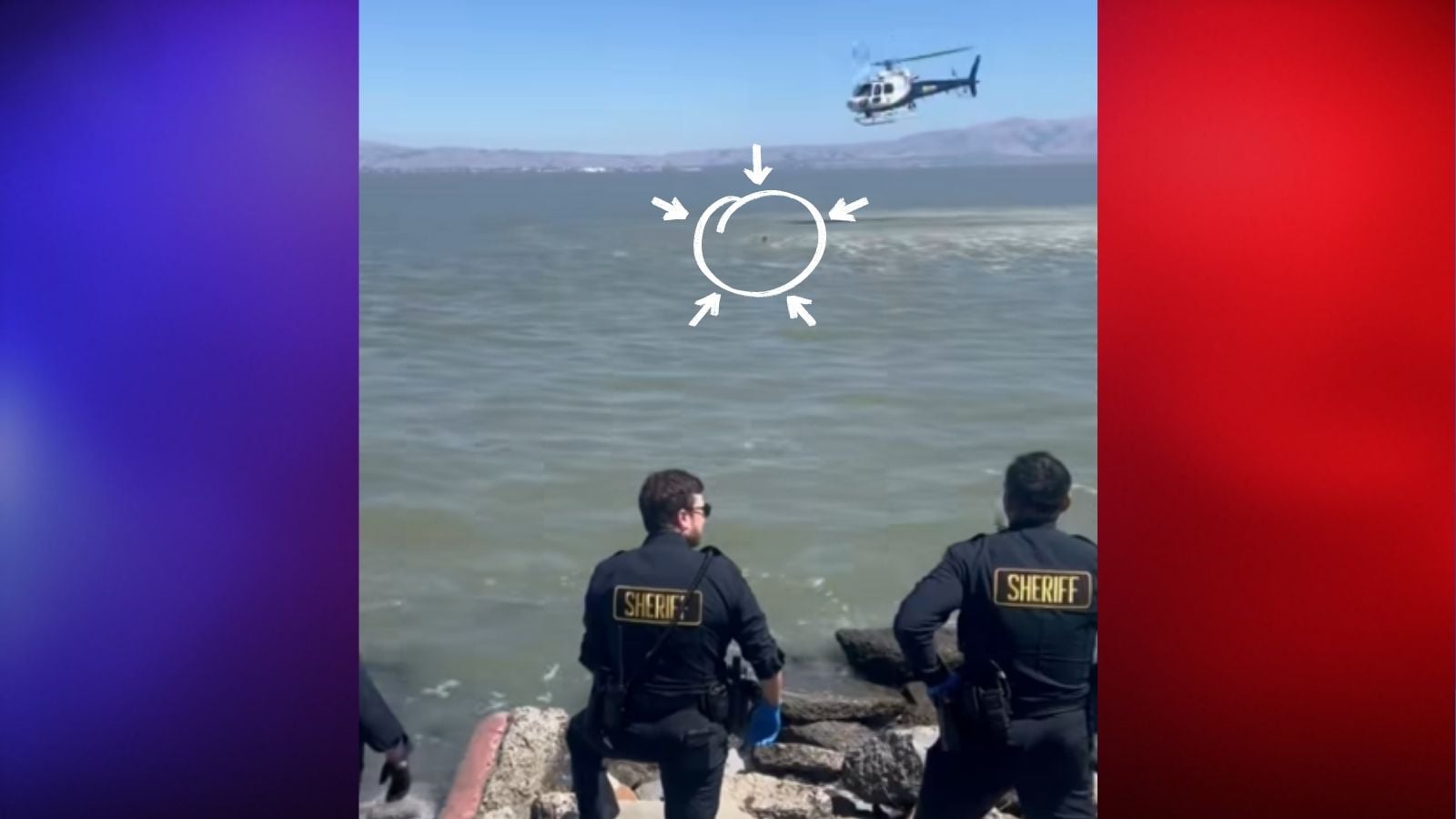California Suspect Takes Police Chase Into San Francisco Bay and Quickly Runs Out of Places To Go