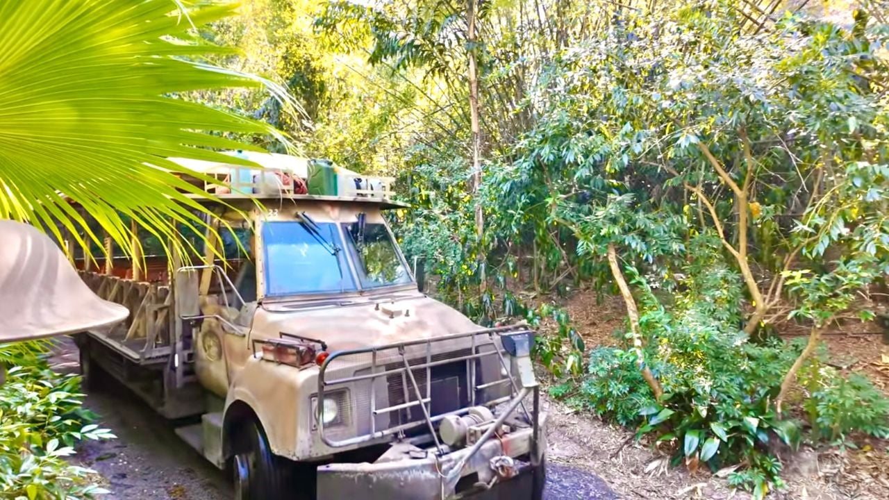 Disney Animal Kingdom Kilimanjaro Safaris