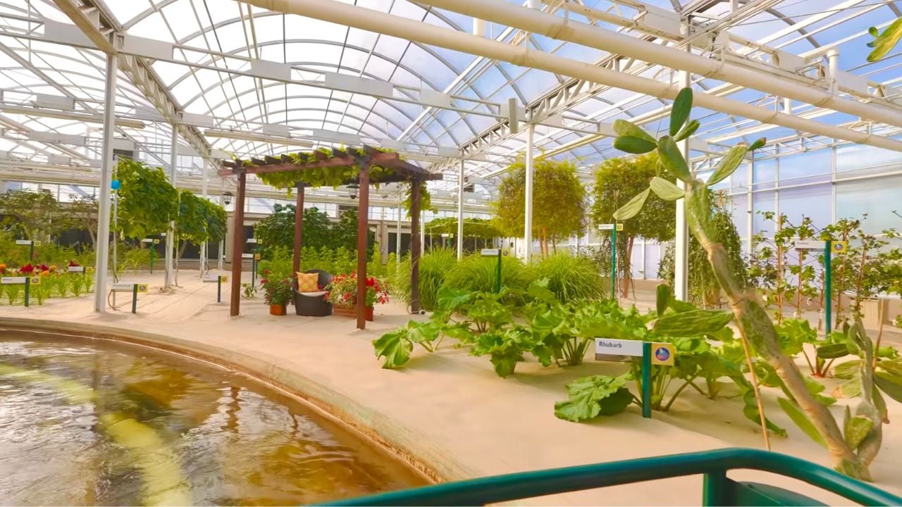 EPCOT Living with the Land