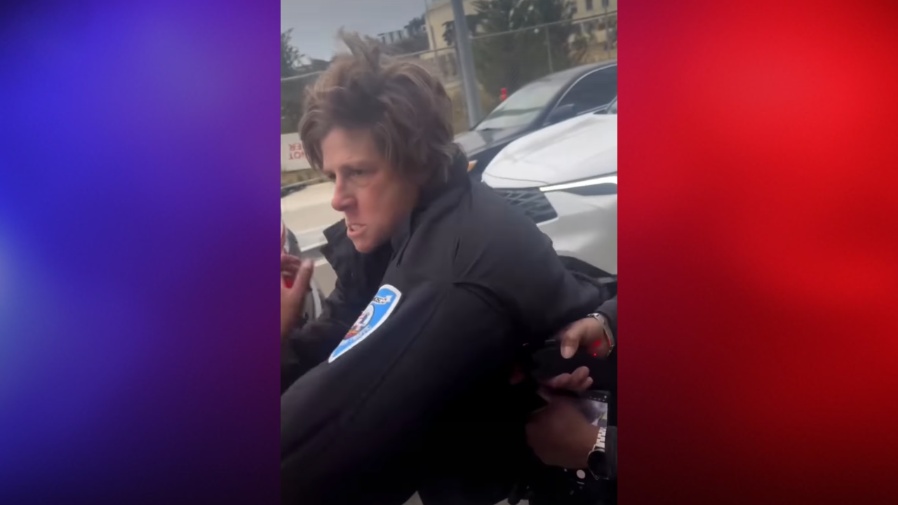Treasure Island fistfight goes viral