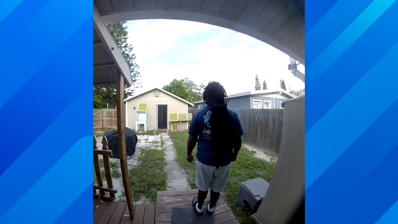 Homeowner finds human scalp in yard