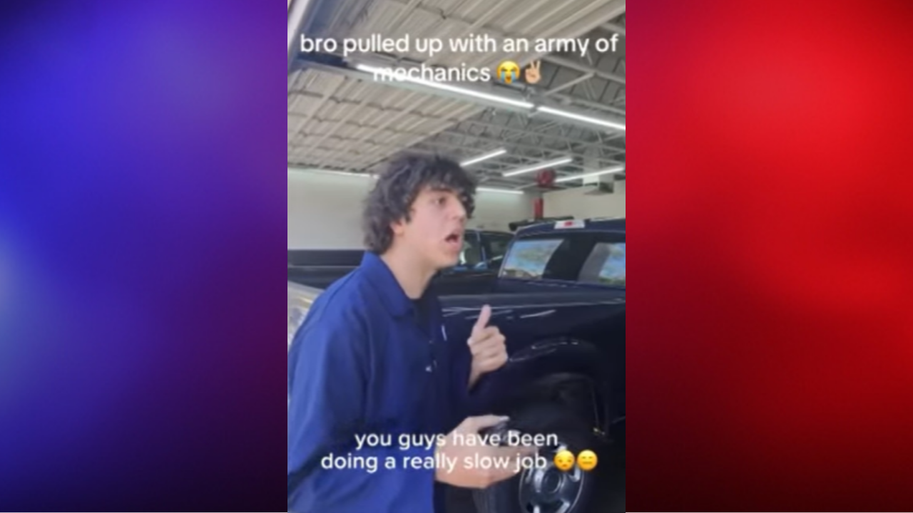 Influencer pleads guilty