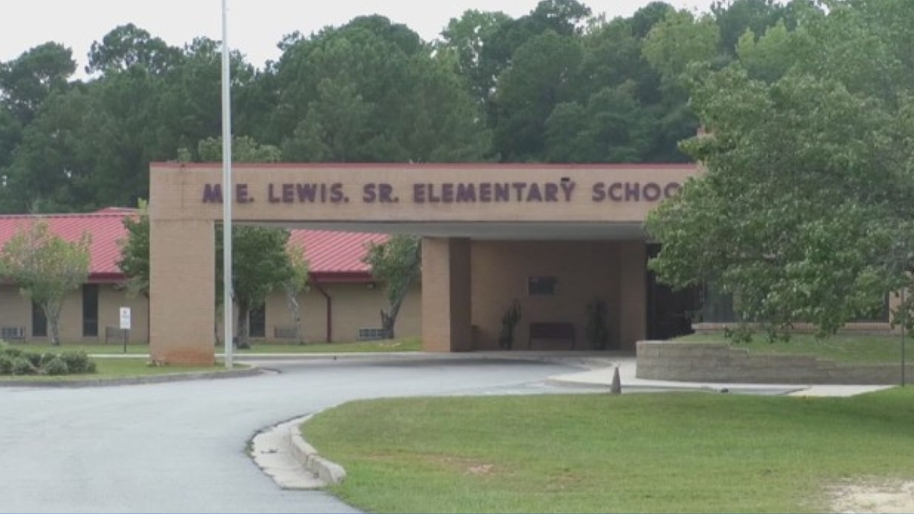 Snakes Shut Down Georgia School