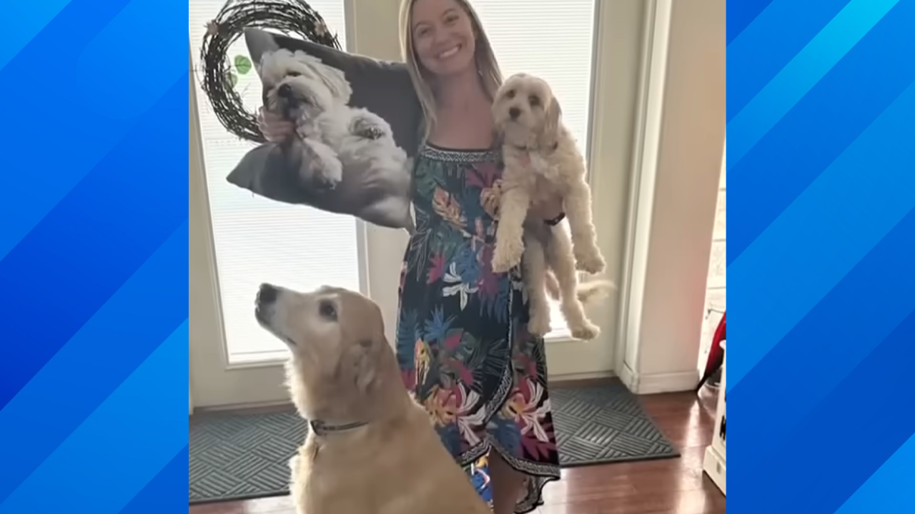 woman catches animal abusers from rover