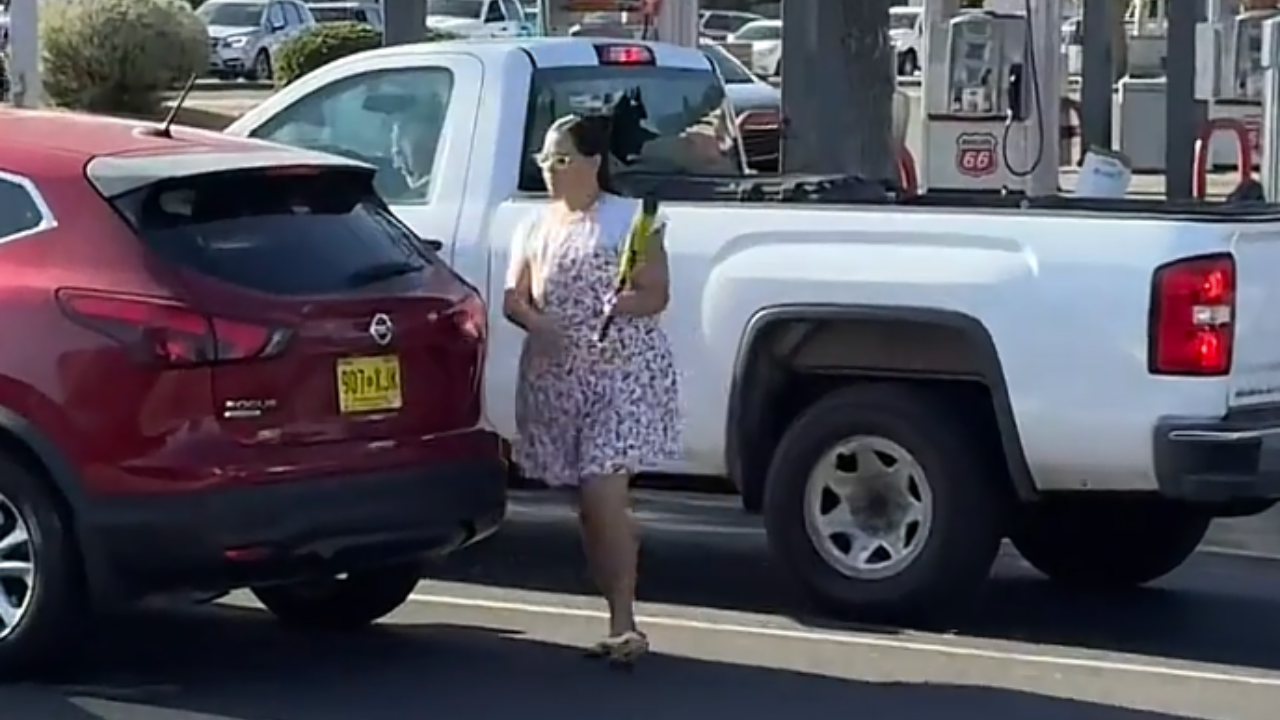 road rage baseball bat
